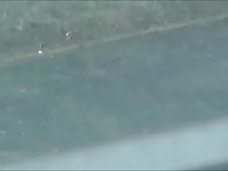 Frank Slander &lpar;vid&period;&num;1&rpar;