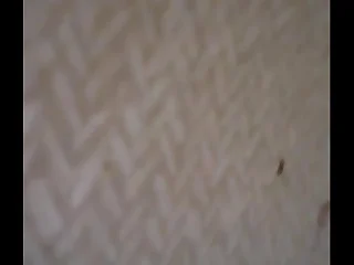 Fucking lil teen